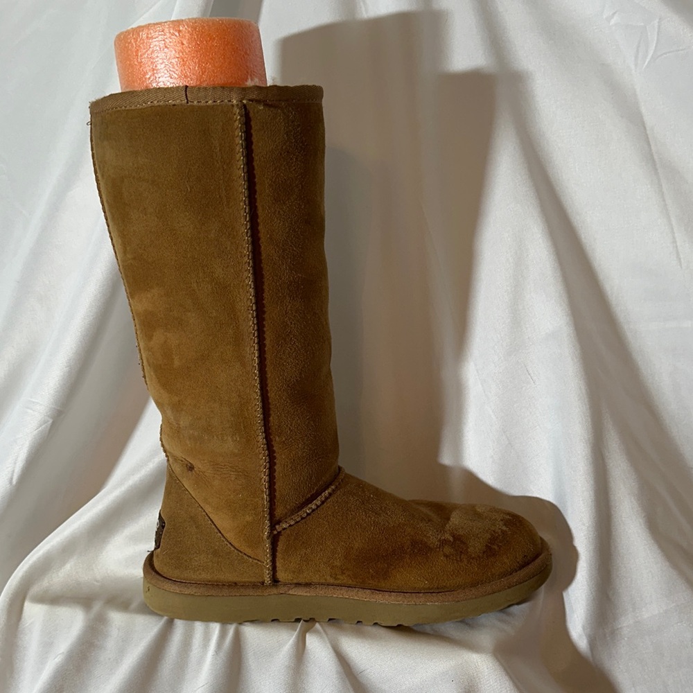 UGG Brown Winter Boots